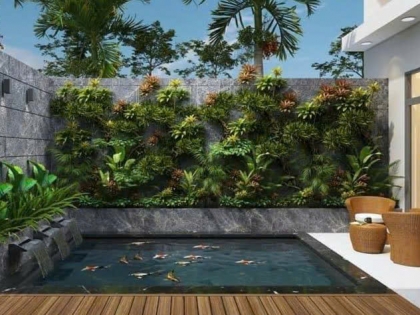 Thi công  vườn cây nhiệt đới 10