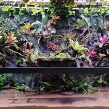 Thi công  vườn cây nhiệt đới 12